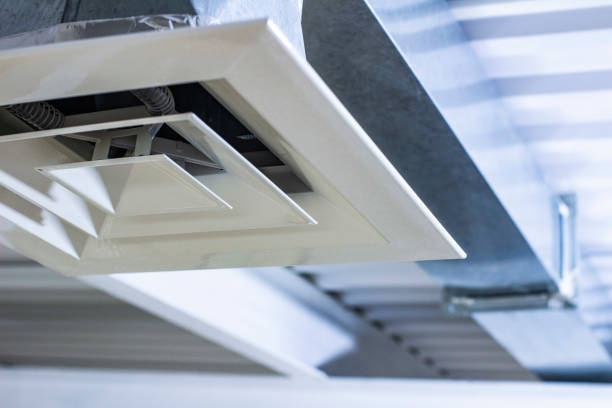 Best Air Duct Sanitizing Services  in Wahneta, FL